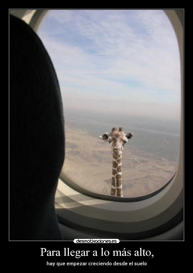 Para llegar a lo más alto, - 