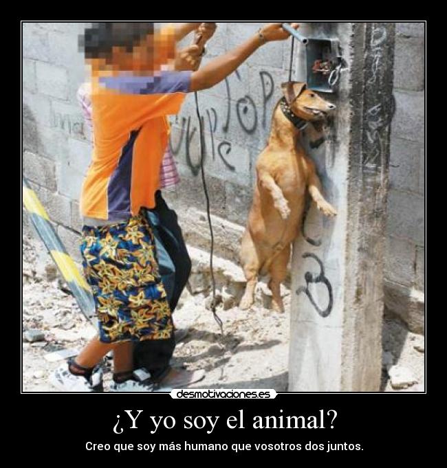 carteles clanvirus elclanviral spidermen kittag clanchocoputa joputas desmotivaciones