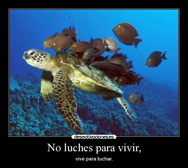 No luches para vivir, - vive para luchar.