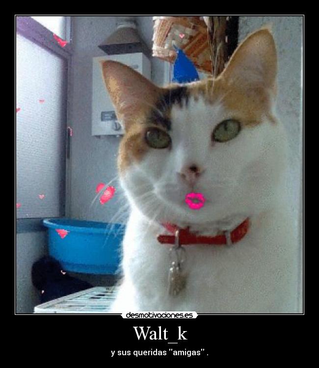 Walt_k - y sus queridas amigas .