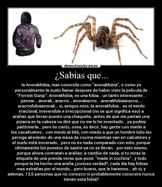 ¿Sabias que... - la Anorakfobia, mas conocida como anorakfobia, o como yo
personalmente la suelo llamar despues de haber visto la pelicula de
Forrest Gump: Anorakfobia, es una fobia... un tanto interesante...
pensar... anorak...aracno... anorakacno... anorakfobiaaracno....
aracnofobiaanorak... si, amigos mios, la anorakfobia... es el miedo
irracional, irreversible e irrecopcional (no se que significa eso) a
arañas que llevan puesto una chaqueta...antes de que me partais una
pizarra en la cabeza os diré que no me lo he inventado... ya podeis
partirmerla... pero es cierto, osea, es decir, hay gente con miedo a
los cacahuetes... con miedo al 666, con miedo a que un hombre lobo les
persiga alrededor de una mesa de cocina mientras van en calcetines y
el suelo está encerado... pero no es nada comparado con esto, porque
ultimamente los puestos de sastre ya no se llevan... por esto mismo,
porque ahora contratan a arañas, a cambio de nada, si tu miras la
etiqueta de una prenda veras que pone: made in cochina , y todo
porque la ha hecho una araña ¿curioso verdad?, cada dia hay fobias
mas extrañas por el mundo... pero bueno, que le haremos... ah si, y
ademas, 13,5 personas que no conozco ni probablemente conocere nunca,
tienen esta fobia?