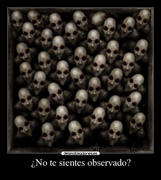 ¿No te sientes observado? - 