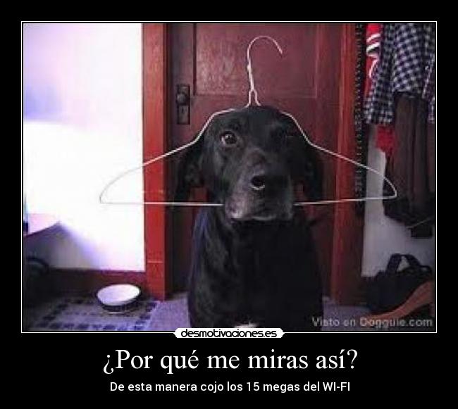 ¿Por qué me miras así? -