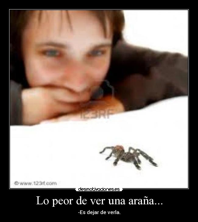 Lo peor de ver una araña... -
