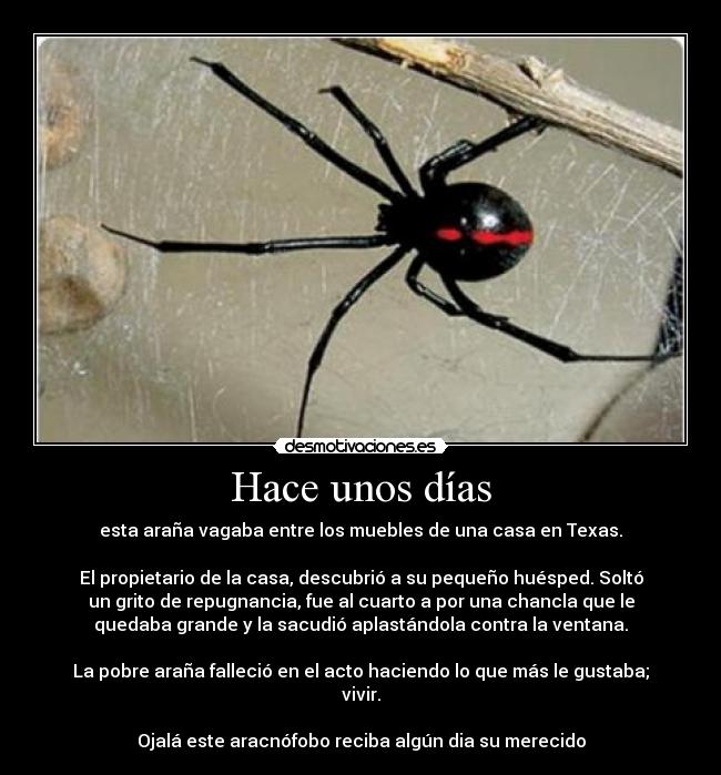 carteles clanhoygan clanchocoputa esto cartel parodiando cartel principal del homosexual ese desmotivaciones