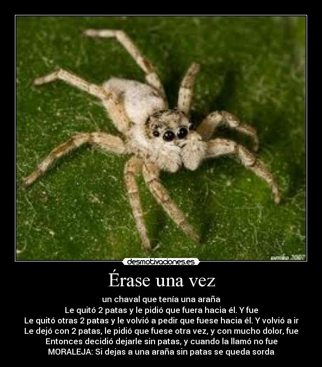 Érase una vez - un chaval que tenía una araña
Le quitó 2 patas y le pidió que fuera hacia él. Y fue
Le quitó otras 2 patas y le volvió a pedir que fuese hacia él. Y volvió a ir
Le dejó con 2 patas, le pidió que fuese otra vez, y con mucho dolor, fue
Entonces decidió dejarle sin patas, y cuando la llamó no fue
MORALEJA: Si dejas a una araña sin patas se queda sorda