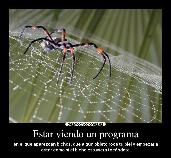 carteles bichos desmotivaciones