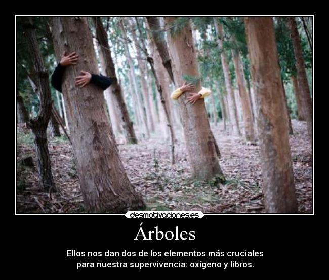 Árboles - Ellos nos dan dos de los elementos más cruciales
para nuestra supervivencia: oxígeno y libros.