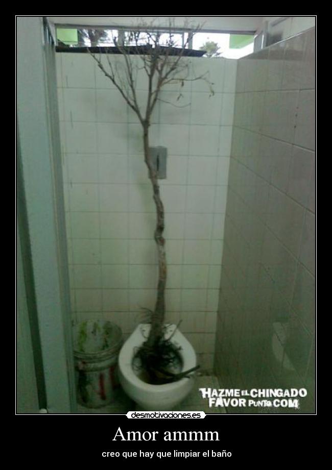 Amor ammm - creo que hay que limpiar el baño