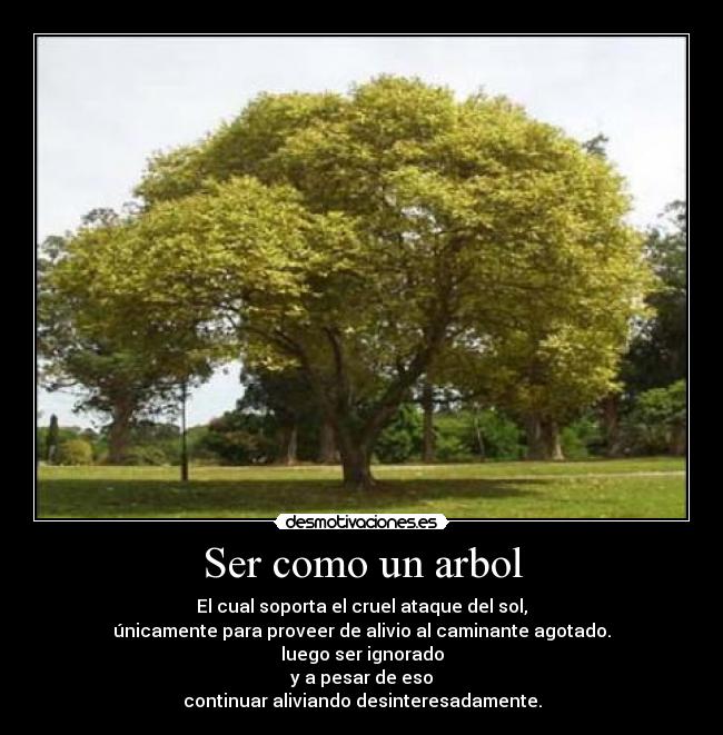 Ser como un arbol - El cual soporta el cruel ataque del sol,
únicamente para proveer de alivio al caminante agotado.
luego ser ignorado
y a pesar de eso
continuar aliviando desinteresadamente.