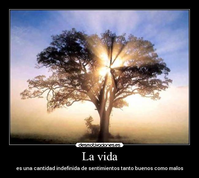La vida - es una cantidad indefinida de sentimientos tanto buenos como malos