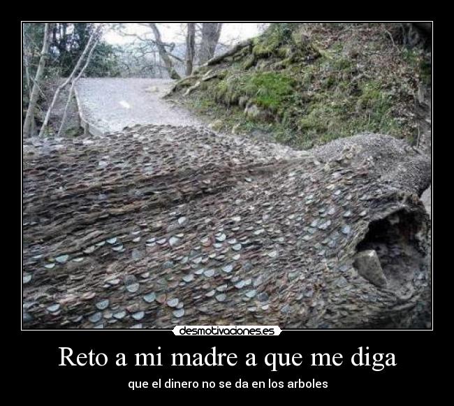 carteles madre arbol dinero desmotivaciones