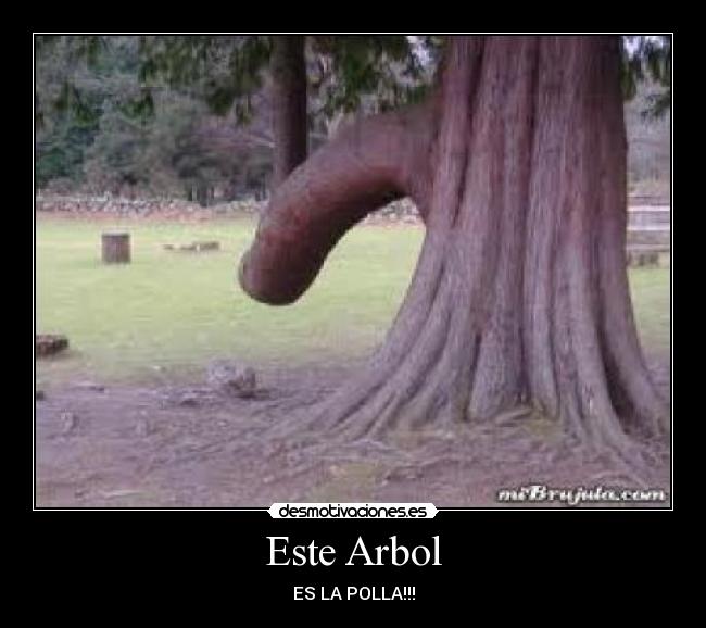 Este Arbol - 