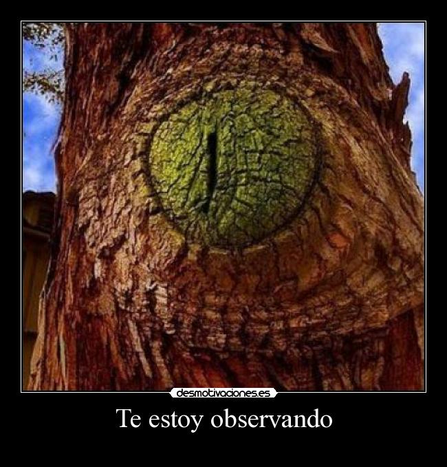 Te estoy observando -