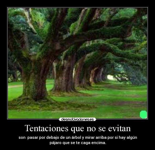 carteles tentaciones desmotivaciones