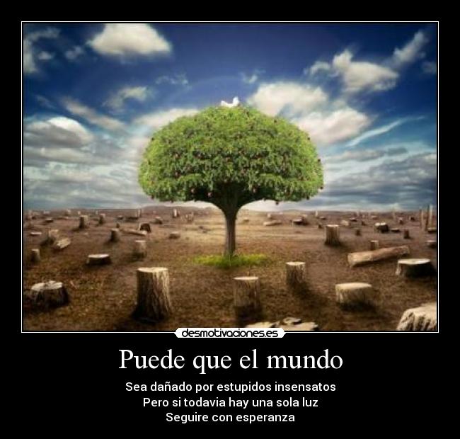 Puede que el mundo - Sea dañado por estupidos insensatos
Pero si todavia hay una sola luz
Seguire con esperanza