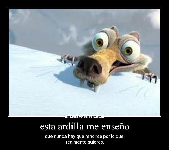 esta ardilla me enseño - que nunca hay que rendirse por lo que 
realmente quieres.