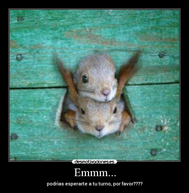 carteles mmm turno ardillas desmotivaciones