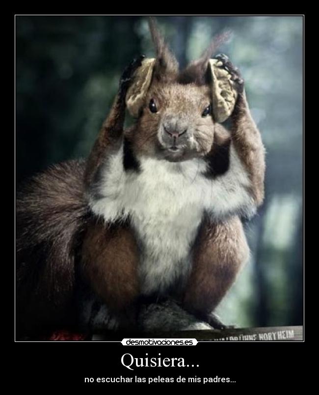 Quisiera... - no escuchar las peleas de mis padres...