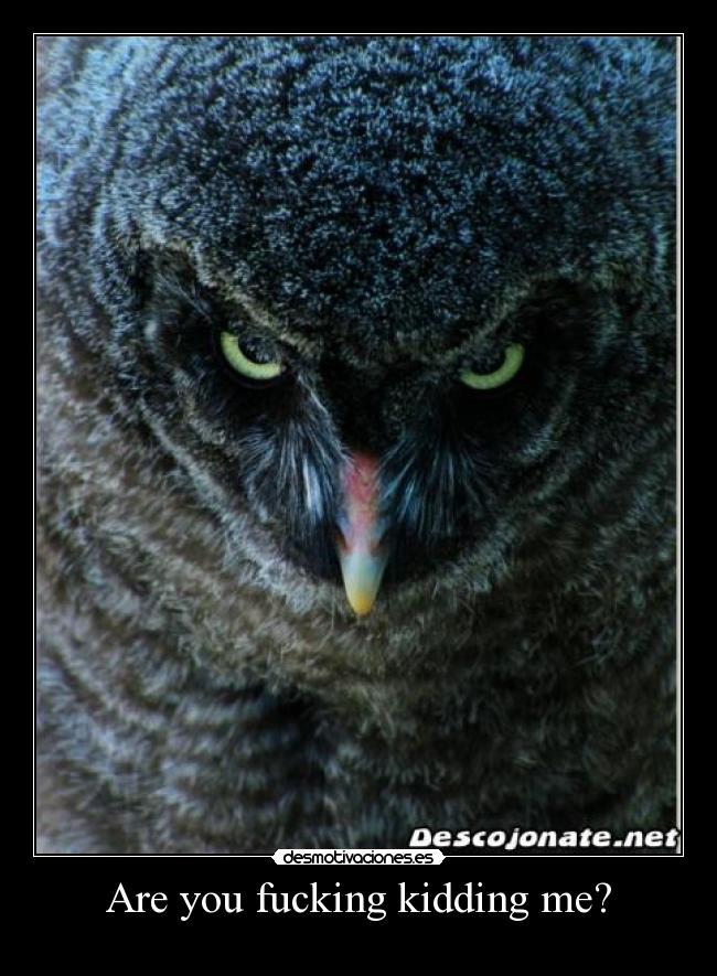 Are you fucking kidding me? -