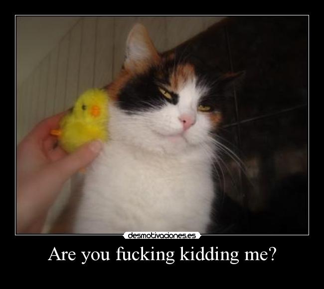 Are you fucking kidding me? -