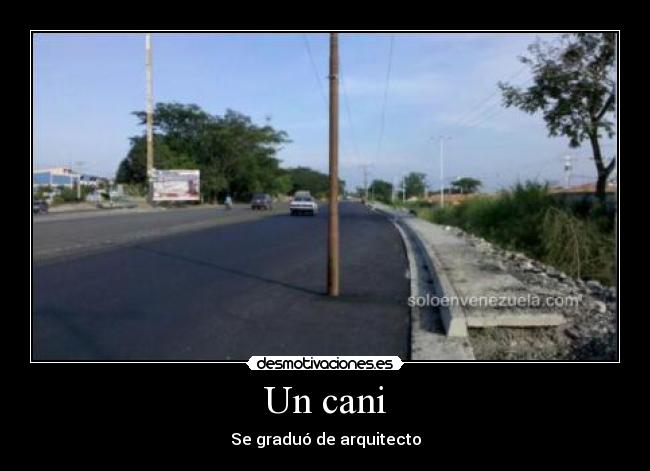 Un cani - 
