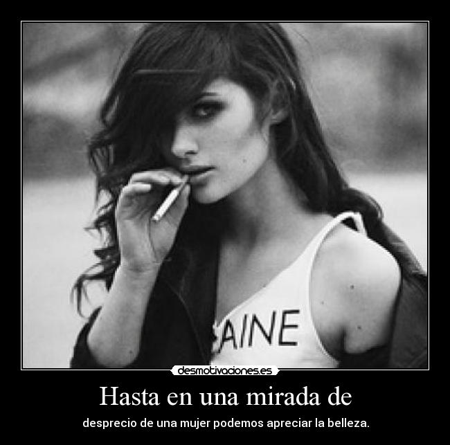 carteles 217 desmotivaciones