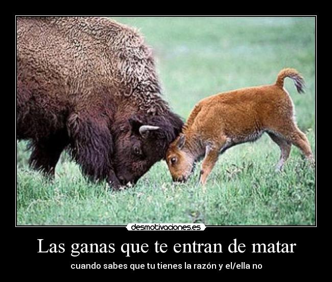 Las ganas que te entran de matar - 