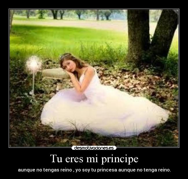 Tu eres mi principe - 