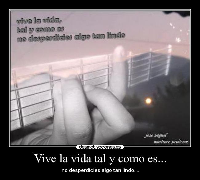 Vive la vida tal y como es... - no desperdicies algo tan lindo....