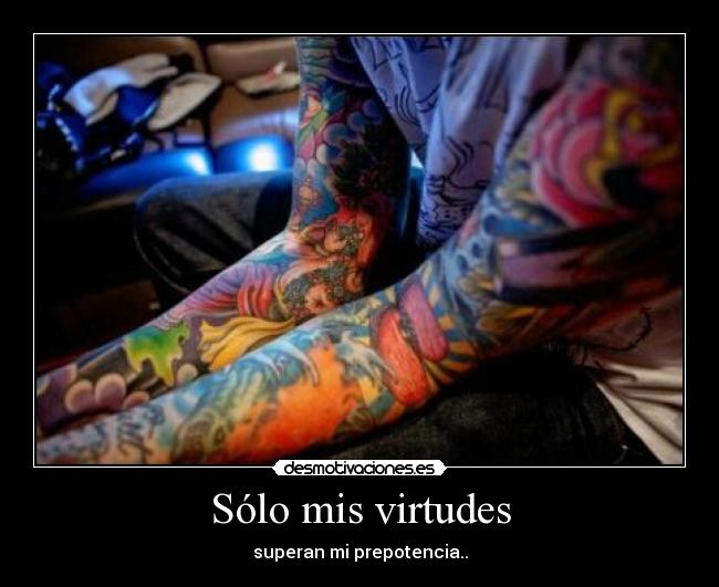 Sólo mis virtudes - superan mi prepotencia..