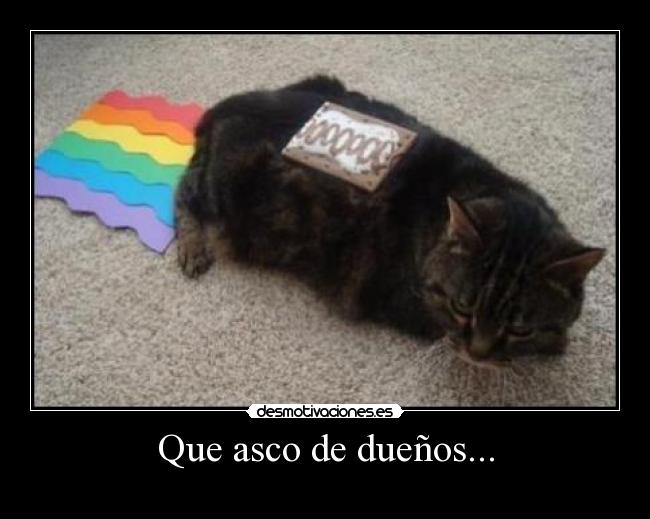 carteles nyan cat desmotivaciones