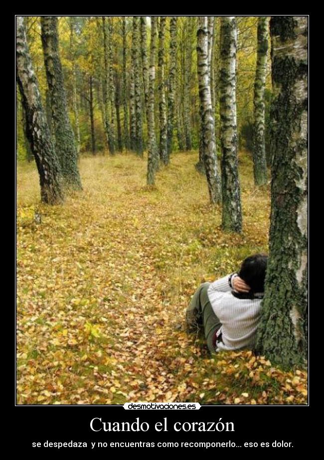 Cuando el corazón - se despedaza  y no encuentras como recomponerlo... eso es dolor.