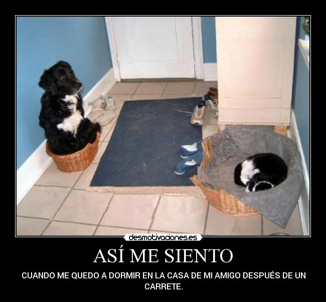 ASÍ ME SIENTO - CUANDO ME QUEDO A DORMIR EN LA CASA DE MI AMIGO DESPUÉS DE UN
CARRETE.