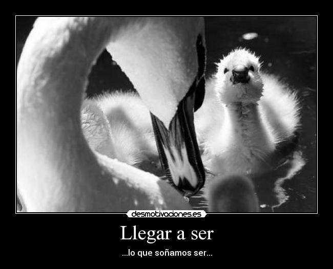 Llegar a ser - 