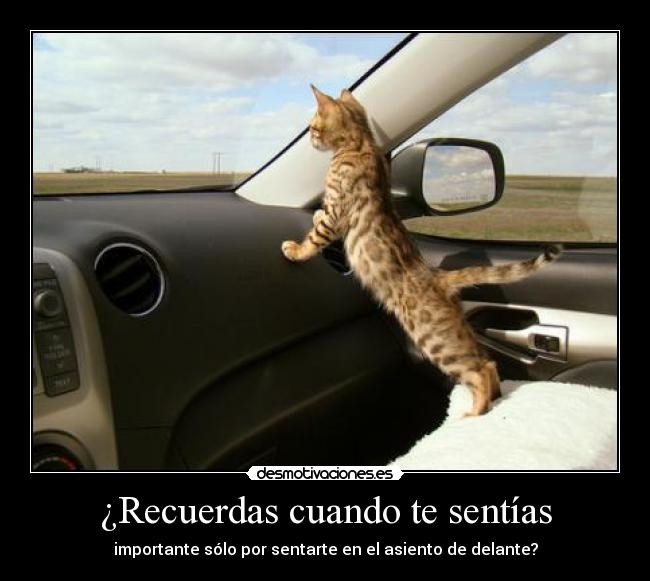 ¿Recuerdas cuando te sentías - importante sólo por sentarte en el asiento de delante?
