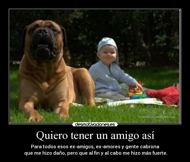 Quiero tener un amigo así -