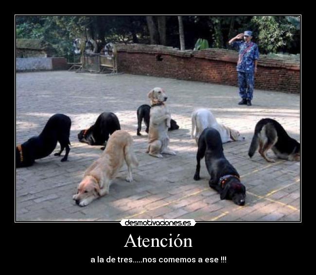 Atención - 