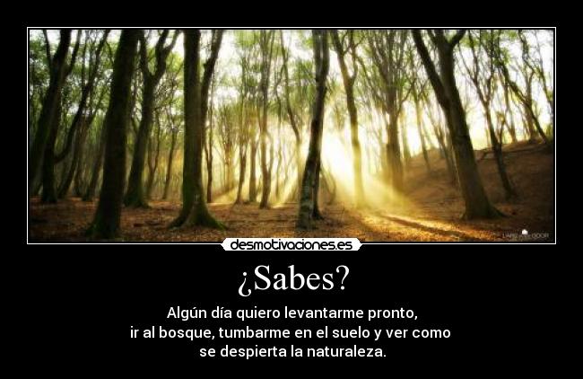 ¿Sabes? - Algún día quiero levantarme pronto,
ir al bosque, tumbarme en el suelo y ver como 
se despierta la naturaleza.