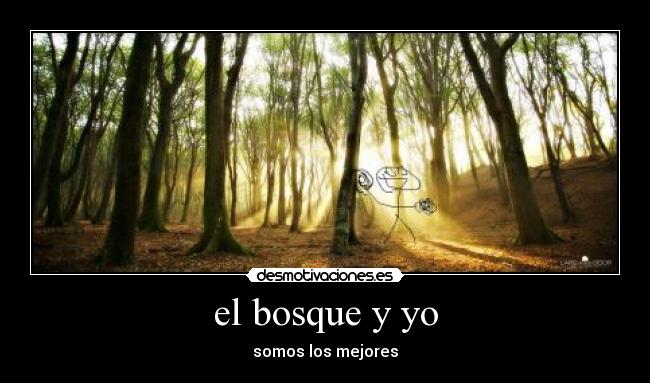 el bosque y yo -