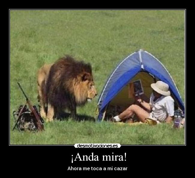 ¡Anda mira! - Ahora me toca a mi cazar