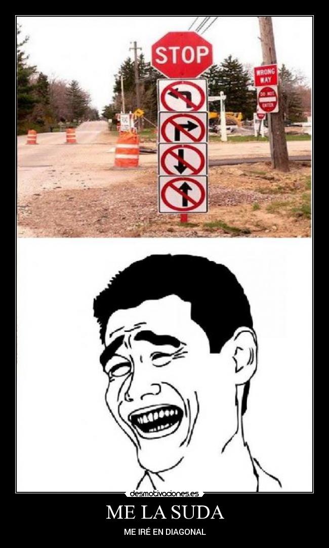 ME LA SUDA - 