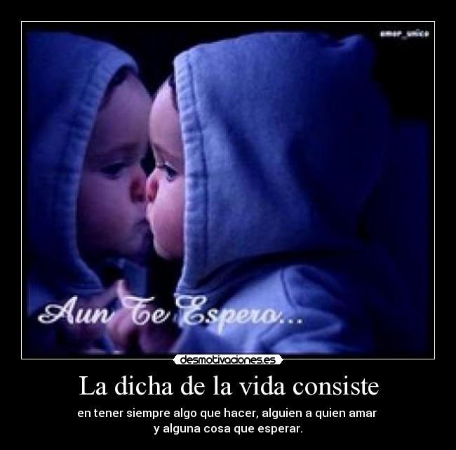 La dicha de la vida consiste -