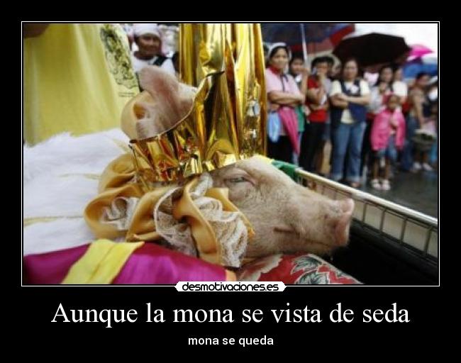 Aunque la mona se vista de seda - 