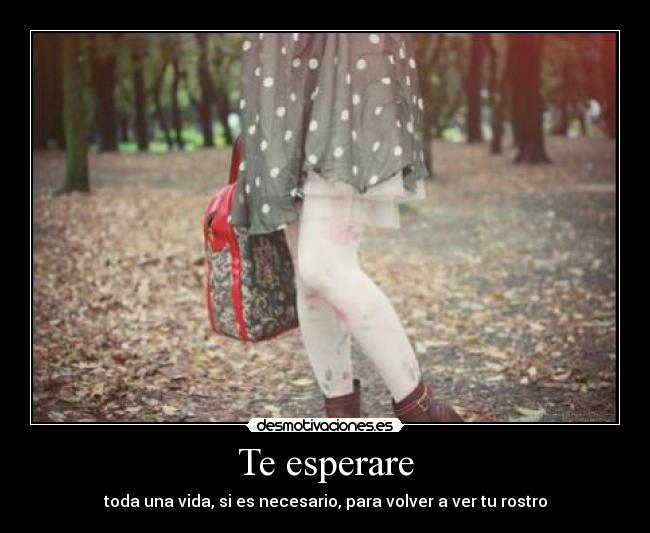 Te esperare - toda una vida, si es necesario, para volver a ver tu rostro