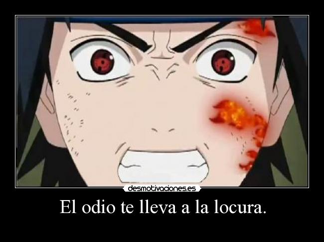 El odio te lleva a la locura. - 