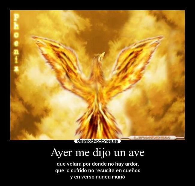 carteles ave desmotivaciones