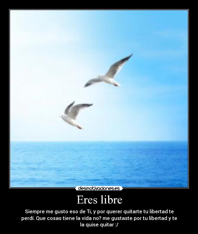 Eres libre - Siempre me gusto eso de Ti, y por querer quitarte tu libertad te
perdí. Que cosas tiene la vida no? me gustaste por tu libertad y te
la quise quitar :/