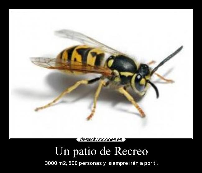 Un patio de Recreo -