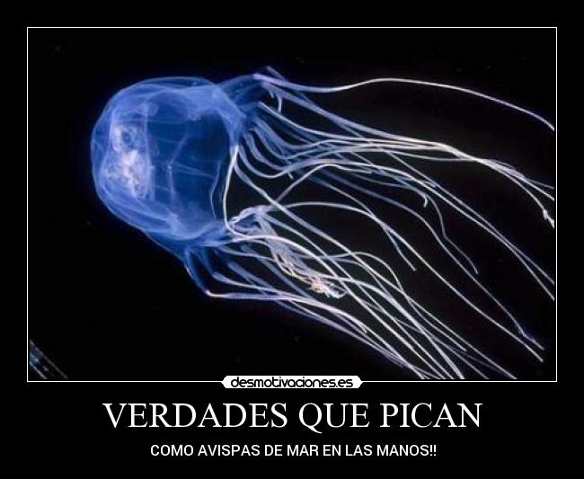 VERDADES QUE PICAN - 